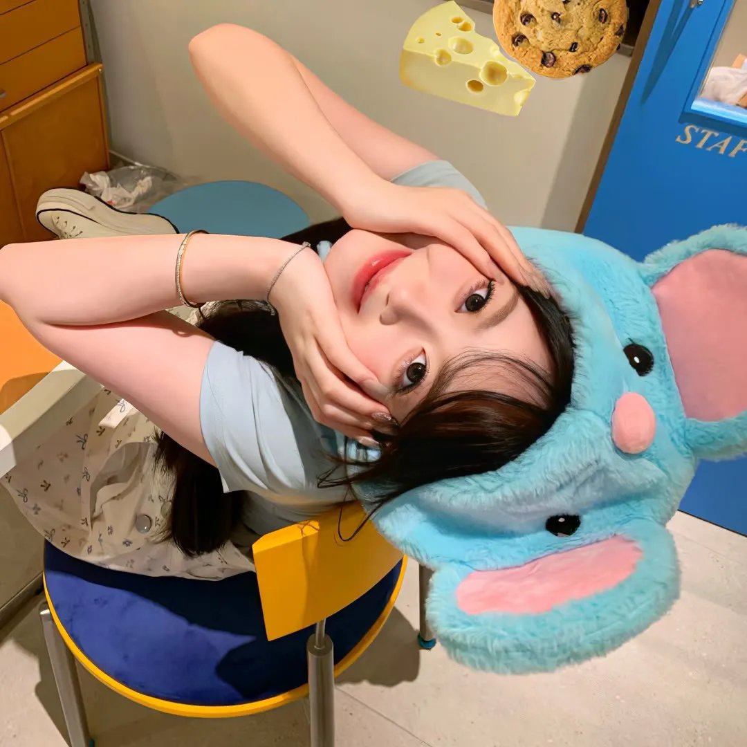 黑天鹅封面